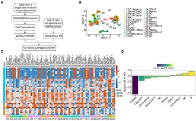 Single-cell transcriptome revealed dysregulated RNA-binding protein expression patterns and functions in human ankylosing spondylitis